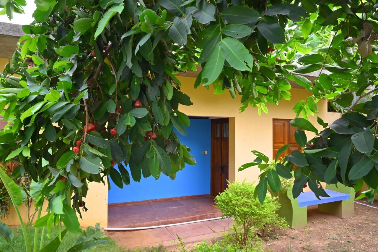 Les Boganveillea Heritage Guest House Auroville Exterior foto